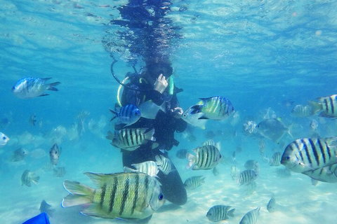 Adventure Moreton Island Scuba Dive Tour - Tourism Cairns 1