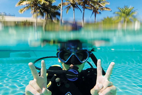 Adventure Moreton Island Scuba Dive Tour - Tourism Cairns 2