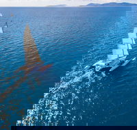 2-Night Whitsunday Islands Sailing Adventure on Trimaran Avatar - Tourism Cairns