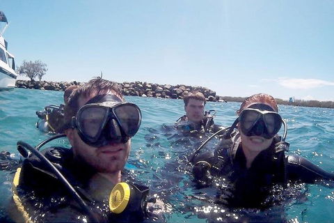 Wave Break Island Scuba Diving On The Gold Coast - Tourism Cairns 0