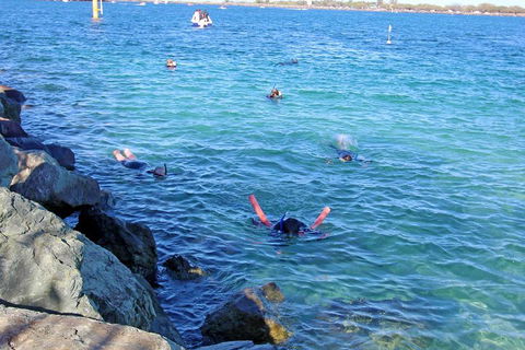 Wave Break Island Scuba Diving On The Gold Coast - Tourism Cairns 1