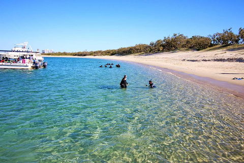 Wave Break Island Scuba Diving On The Gold Coast - Tourism Cairns 4