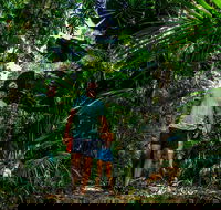 Full Day Daintree Rainforest and Mossman Gorge Tour - Tourism Cairns