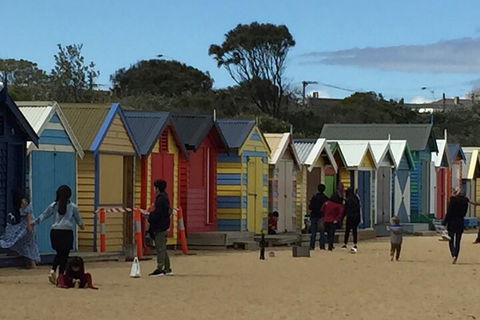 Private Half Day Melbourne City Tour With Local Guide - Tourism Cairns 2