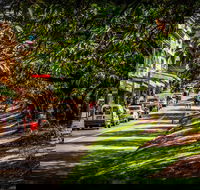 Fully Inclusive Blue Mountains Private Tour inc Scenic World  Featherdale entry - Tourism Cairns
