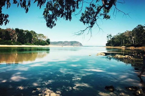 Full-Day Guided Bruny Island Tour From Hobart - Tourism Cairns 1