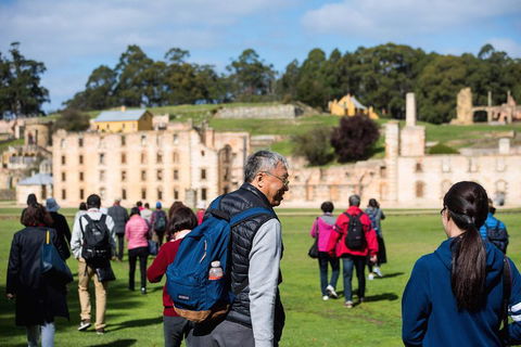 Port Arthur Express Shuttle - Tourism Cairns 4