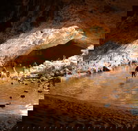 Windjana Explorer - Tourism Cairns