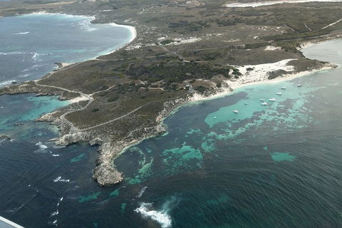 Full Day Tour By Seaplane To Rottnest Island Small Group Trip - Tourism Cairns 5
