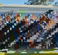 Full Day Mount Tamborine Winery Tour from Gold Coast - Tourism Cairns