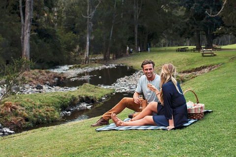Mt Tamborine - Hinterland Wonders Self Guided - Tourism Cairns 0