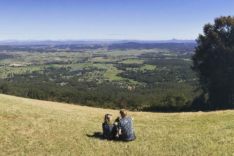 Mt Tamborine - Hinterland Wonders Self Guided - Tourism Cairns 4