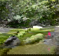 Daintree Dreaming Traditional Aboriginal Fishing from Cairns or Port Douglas - Tourism Cairns