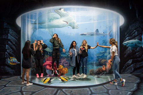 ArtVo Immersive Gallery Experience - Tourism Cairns 2