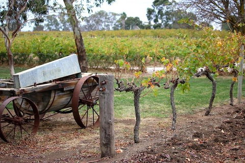Maggie Beer Farm - Barossa Valley Regional Tour - Tourism Cairns 1