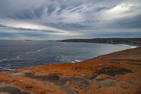 Kangaroo Island Luxury Small Group 'Flinders Chase Focus' Full Day Tour - Tourism Cairns 0