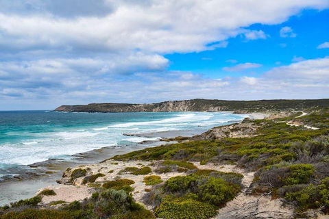 Kangaroo Island Luxury Small Group 'East End Explorer' Full Day Tour - Tourism Cairns 0