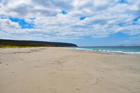 Kangaroo Island Luxury Small Group 'East End Explorer' Full Day Tour - Tourism Cairns 3