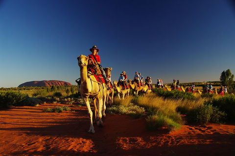 Uluru Small-Group Tour By Camel At Sunrise Or Sunset - Tourism Cairns 1