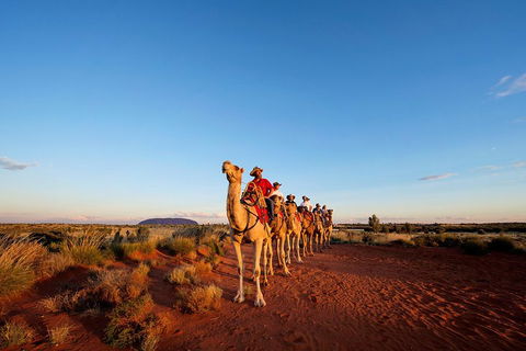 Uluru Small-Group Tour By Camel At Sunrise Or Sunset - Tourism Cairns 3