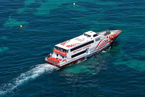 Discover Rottnest With Ferry & Bus Tour From Perth Or Fremantle - Tourism Cairns 3