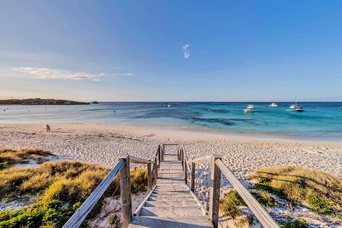 Discover Rottnest With Ferry & Bus Tour From Perth Or Fremantle - Tourism Cairns 4