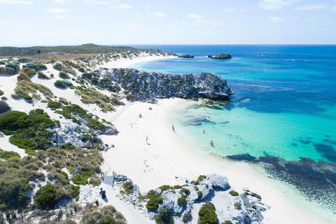 Discover Rottnest With Ferry & Bus Tour From Perth Or Fremantle - Tourism Cairns 5