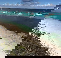 Experience Rottnest with Ferry  Bike Hire from Perth or Fremantle - Tourism Cairns