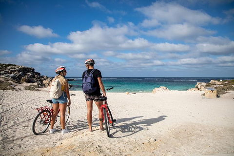 Experience Rottnest With Ferry & Bike Hire From Perth Or Fremantle - Tourism Cairns 5