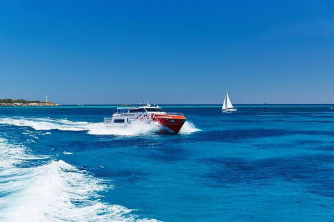 Rottnest Island Round-Trip Ferry From Perth Or Fremantle - Tourism Cairns 4