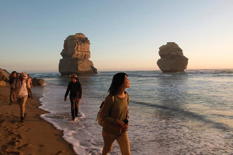 Full-Day Great Ocean Road And 12 Apostles Sunset Tour From Melbourne - Tourism Cairns 4