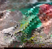 Small-Group Phillip Island Penguin Parade Day Tour from Melbourne - Tourism Cairns