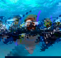 Great Barrier Reef Diving and Snorkeling Cruise from Cairns - Tourism Cairns