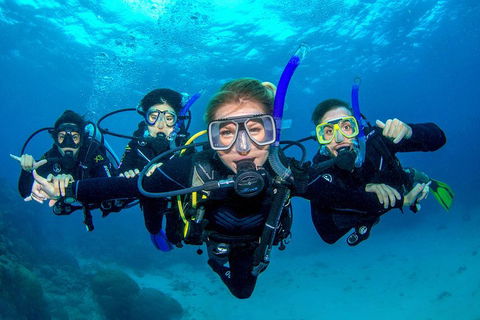 Great Barrier Reef Diving And Snorkeling Cruise From Cairns - Tourism Cairns 0