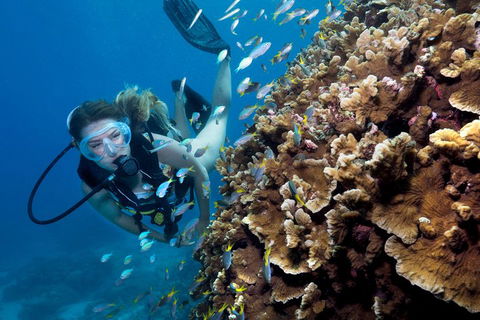 Great Barrier Reef Diving And Snorkeling Cruise From Cairns - Tourism Cairns 1