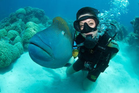Great Barrier Reef Diving And Snorkeling Cruise From Cairns - Tourism Cairns 2
