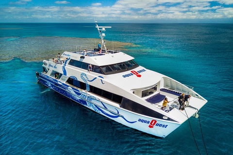 Great Barrier Reef Diving And Snorkeling Cruise From Cairns - Tourism Cairns 5