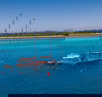 Ocean Free Green Island  Great Barrier Reef Snorkel Cruise Cairns 25 guests - Tourism Cairns