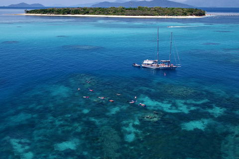 Ocean Free Green Island & Great Barrier Reef Snorkel Cruise, Cairns 25 Guests - Tourism Cairns 2