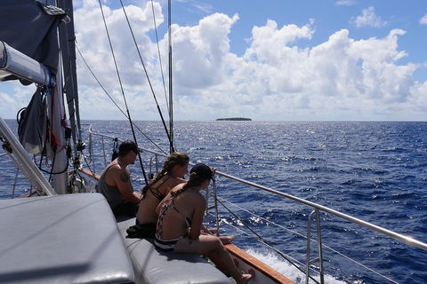 Ocean Free Green Island & Great Barrier Reef Snorkel Cruise, Cairns 25 Guests - Tourism Cairns 4