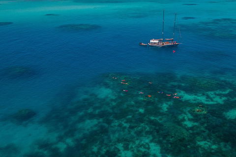Ocean Free Green Island & Great Barrier Reef Snorkel Cruise, Cairns 25 Guests - Tourism Cairns 5