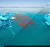 Ocean Freedom Great Barrier Reef Personal Luxury Snorkel  Dive Cruise Cairns - Tourism Cairns
