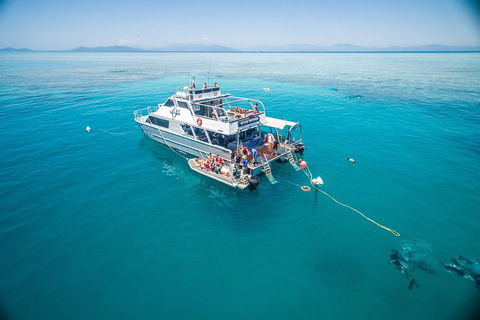 Ocean Freedom Great Barrier Reef Personal Luxury Snorkel & Dive Cruise, Cairns - Tourism Cairns 0