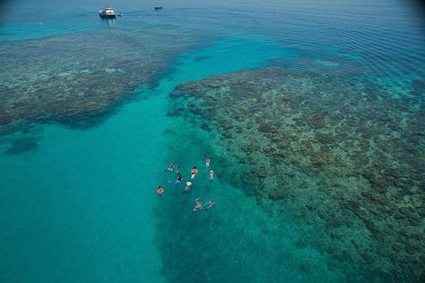 Ocean Freedom Great Barrier Reef Personal Luxury Snorkel & Dive Cruise, Cairns - Tourism Cairns 3