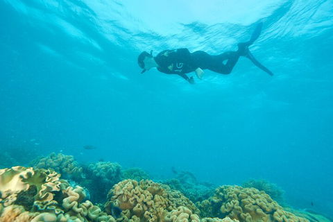 Ocean Freedom Great Barrier Reef Personal Luxury Snorkel & Dive Cruise, Cairns - Tourism Cairns 5