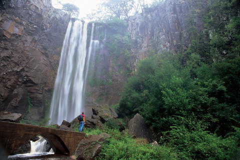 Brisbane Day In The Country Full-Day Small-Group Tour With Lunch - Tourism Cairns 3