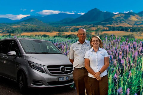 Brisbane Day In The Country Full-Day Small-Group Tour With Lunch - Tourism Cairns 4