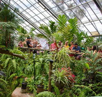 Australian Butterfly Sanctuary - Tourism Cairns