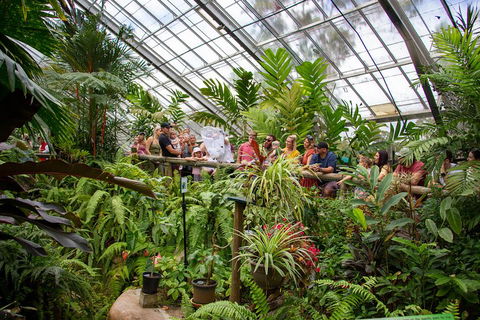 Australian Butterfly Sanctuary - Tourism Cairns 0