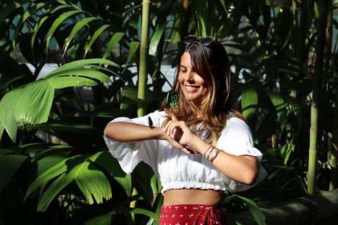 Australian Butterfly Sanctuary - Tourism Cairns 1